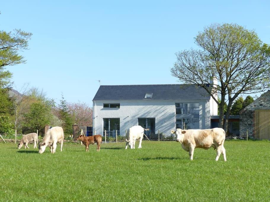 Barn Lane @ Drumagosker Rural Retreats Ardmore Экстерьер фото